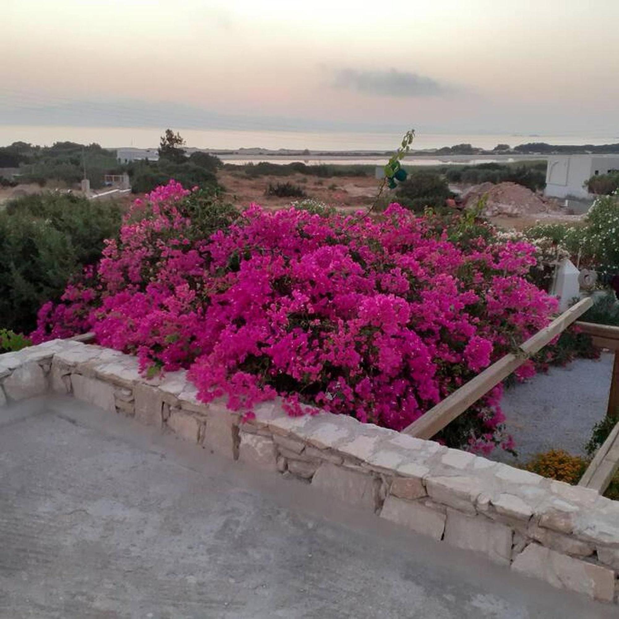 Naxos Alyko Traditional Vacation House "Mitatos" Aliko Beach Eksteriør billede